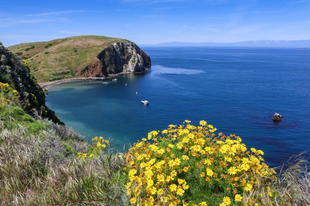 Channel Islands