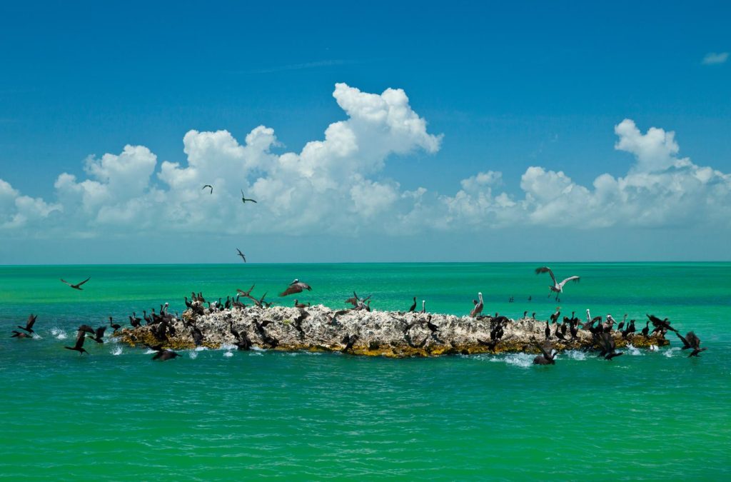 Isla Contoy