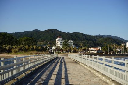 Isola dei Gatti