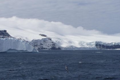 Isola di Bouvet