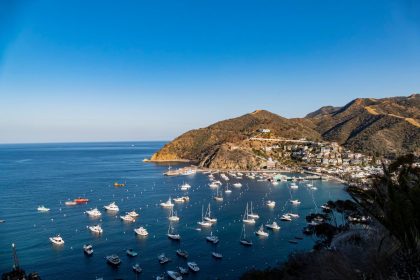 Isola di Catalina