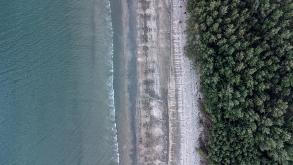 Isola di Midway