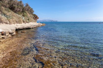 Isola di Punta Pennata