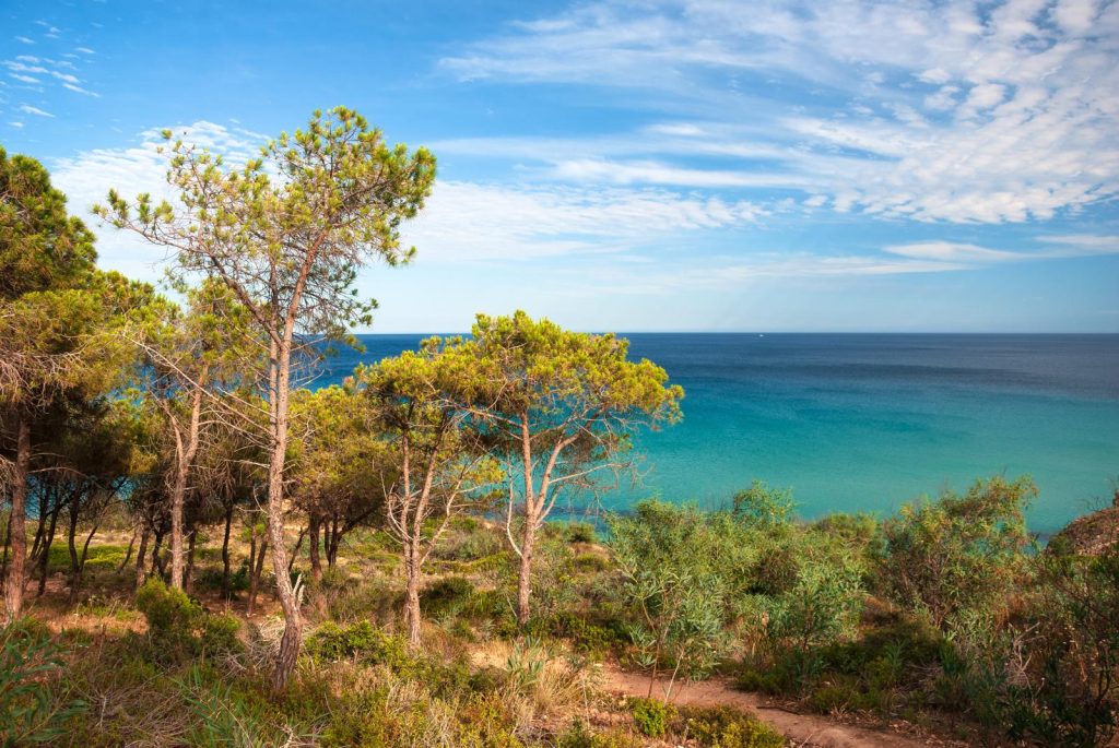 Isola di Sant'antioco
