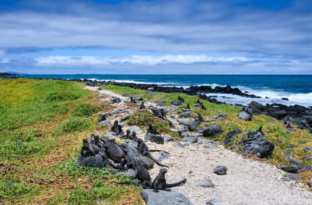 Isole Galapagos