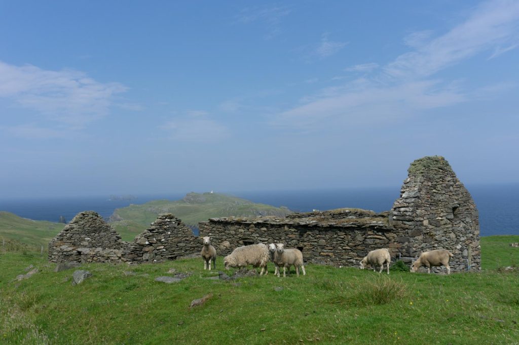 Isole Shetland