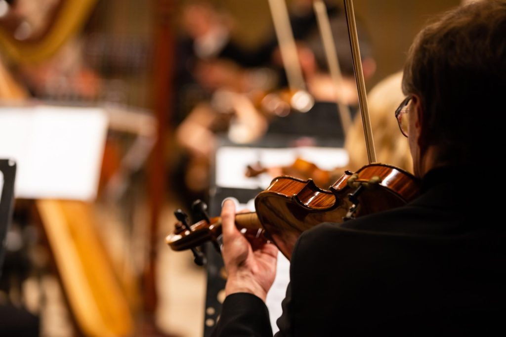 Museo del violino
