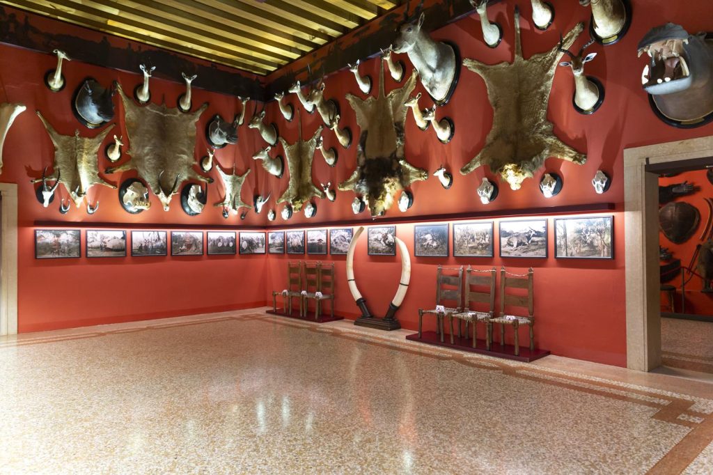 Museo di storia naturale Giancarlo Ligabue