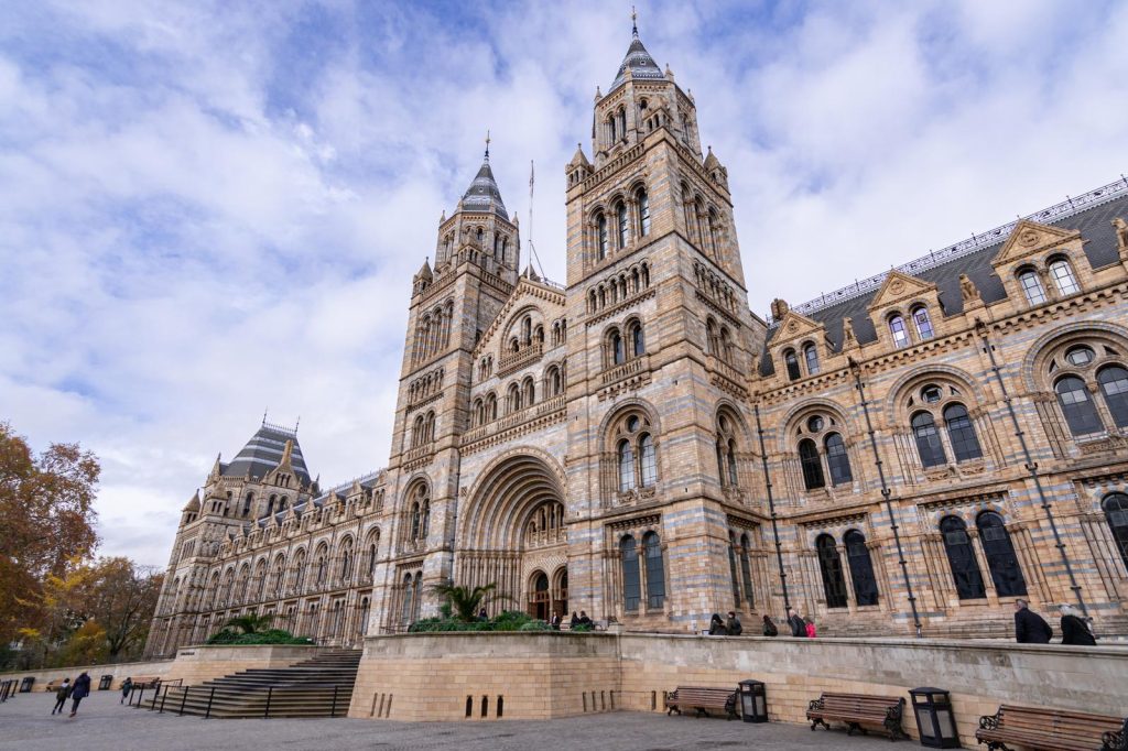 Museo di storia naturale Londra