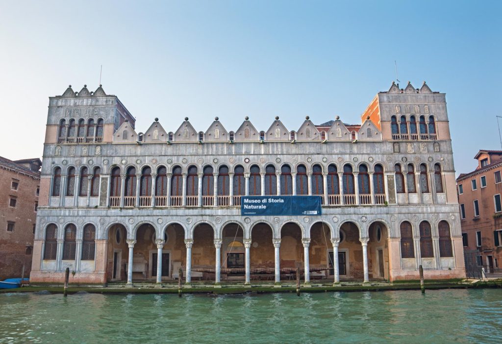 Museo storia naturale Venezia