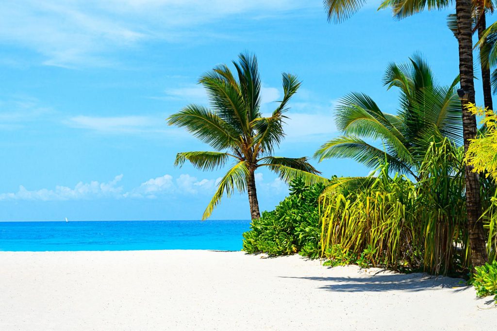 Pemba Island