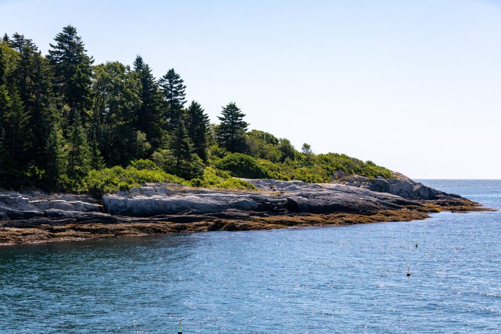 Snake Island