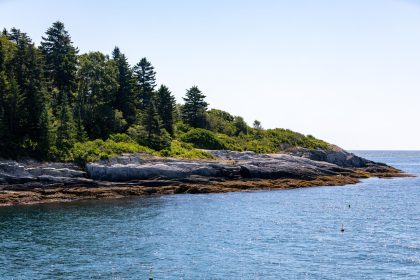 Snake Island