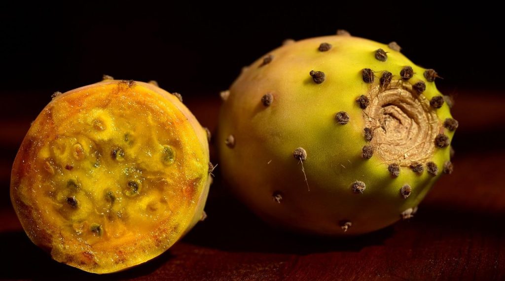 fichi d'india fanno ingrassare