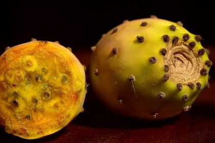 fichi d'india fanno ingrassare