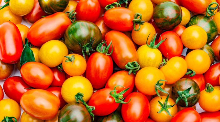i pomodori fanno ingrassare