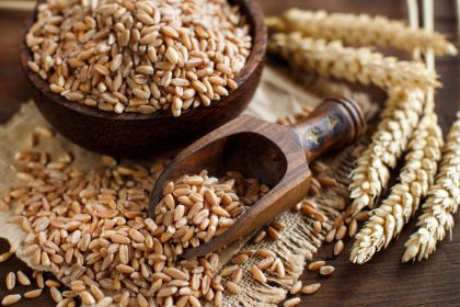 il farro fa ingrassare